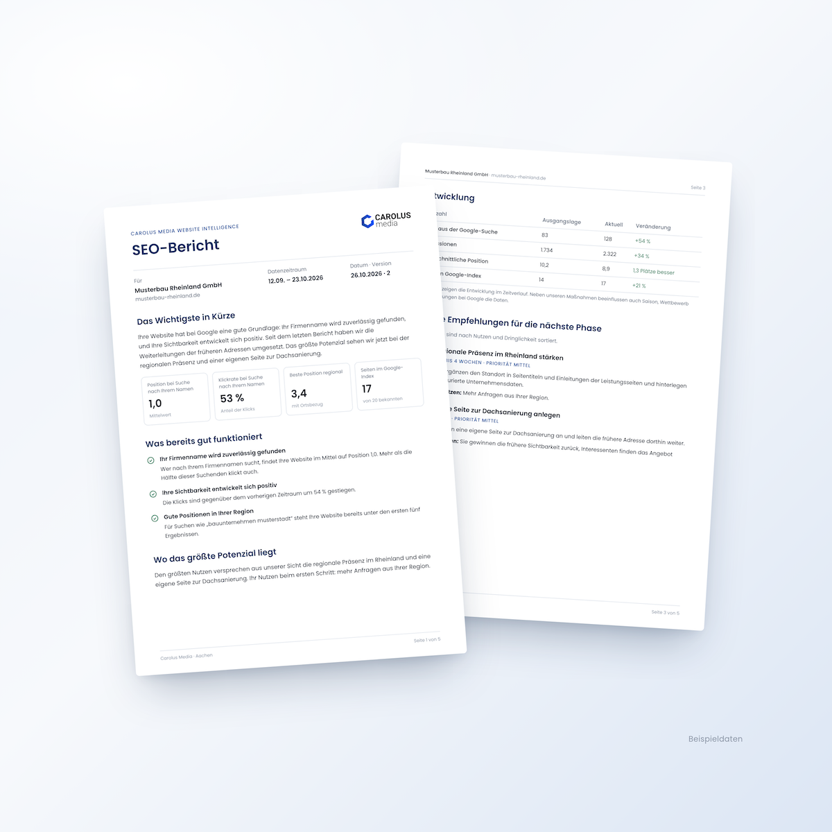 Beispiel SEO Report aus dem Carolus Media Website Intelligence Tool