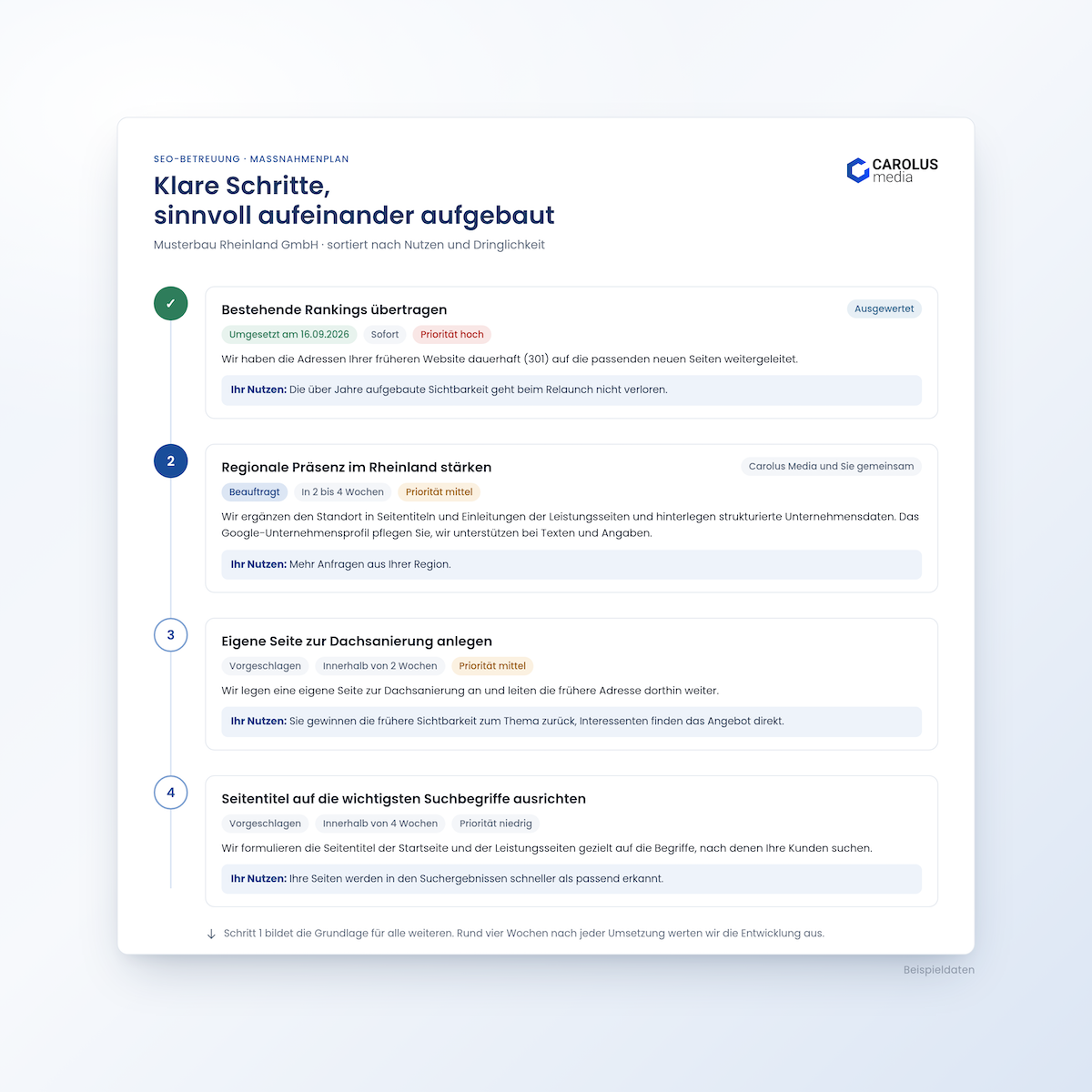 Beispiel SEO Screenshot aus dem Carolus Media Website Intelligence Tool